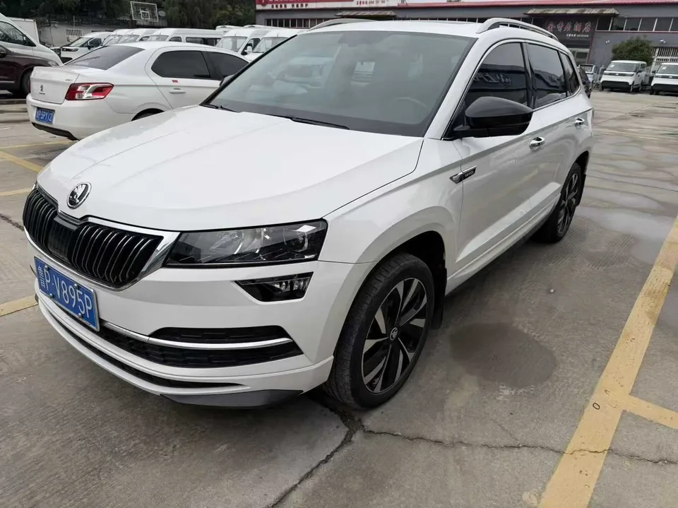 Skoda Karoq Korok TSI280 Premium Edition 2022 — photo 1, buy with delivery to Moscow