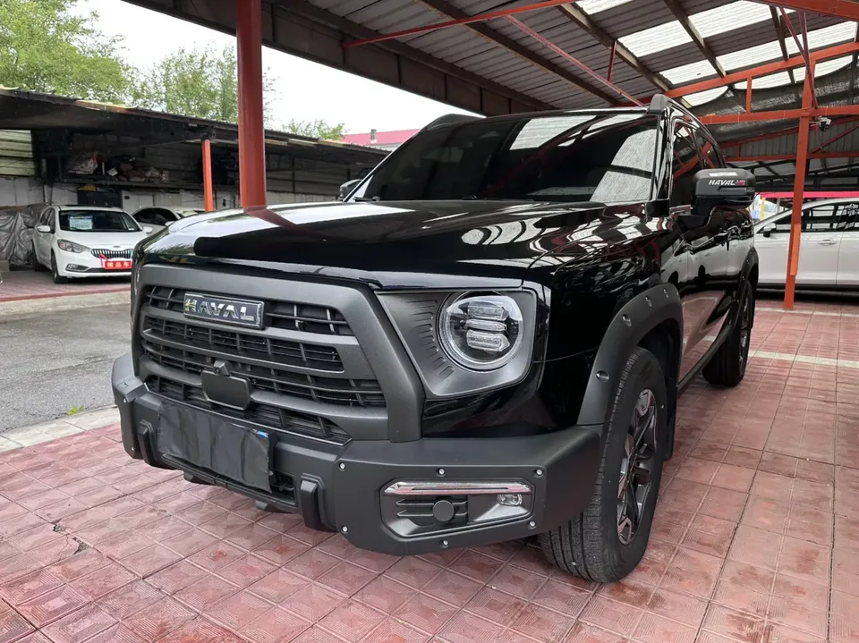 Haval Dargo Dargo Haval Big Dog 2024 2.0T four-wheel drive Chinese pastoral dog version 2024 — photo 1, buy with delivery to Moscow