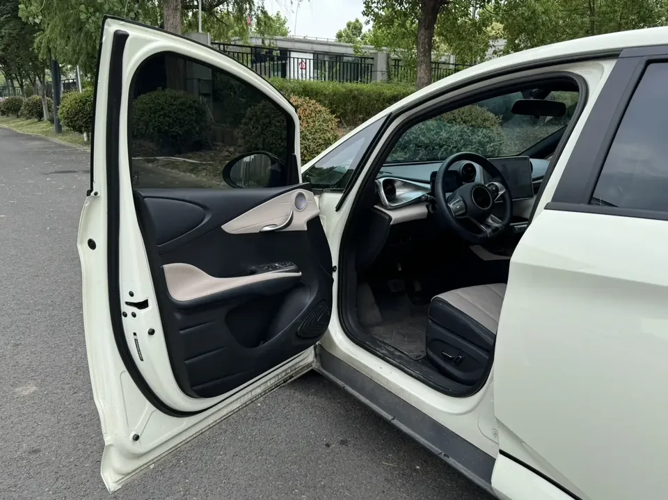 BYD Dolphin dolphin 420KM Free Edition 2025 — thumbnail 4