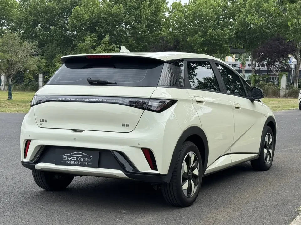 BYD Dolphin dolphin 420KM Free Edition 2025 — thumbnail 5