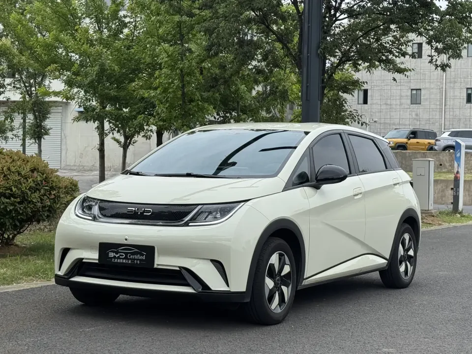 BYD Dolphin dolphin 420KM Free Edition 2025 — photo 1, buy with delivery to Moscow
