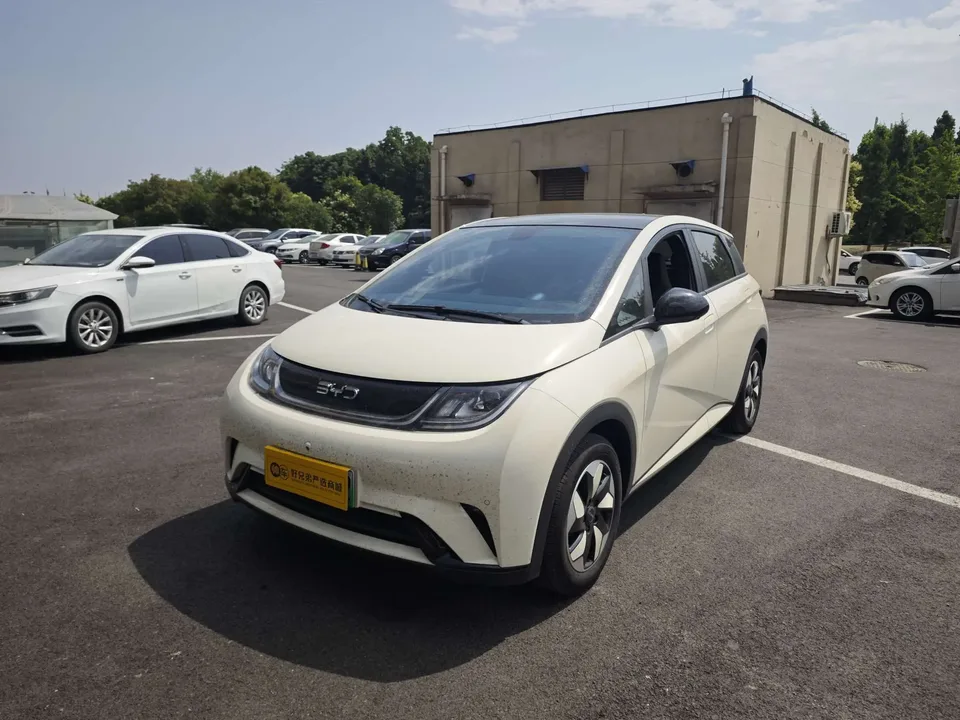 BYD Dolphin dolphin 420KM Free Edition 2025 — photo 1, buy with delivery to Moscow