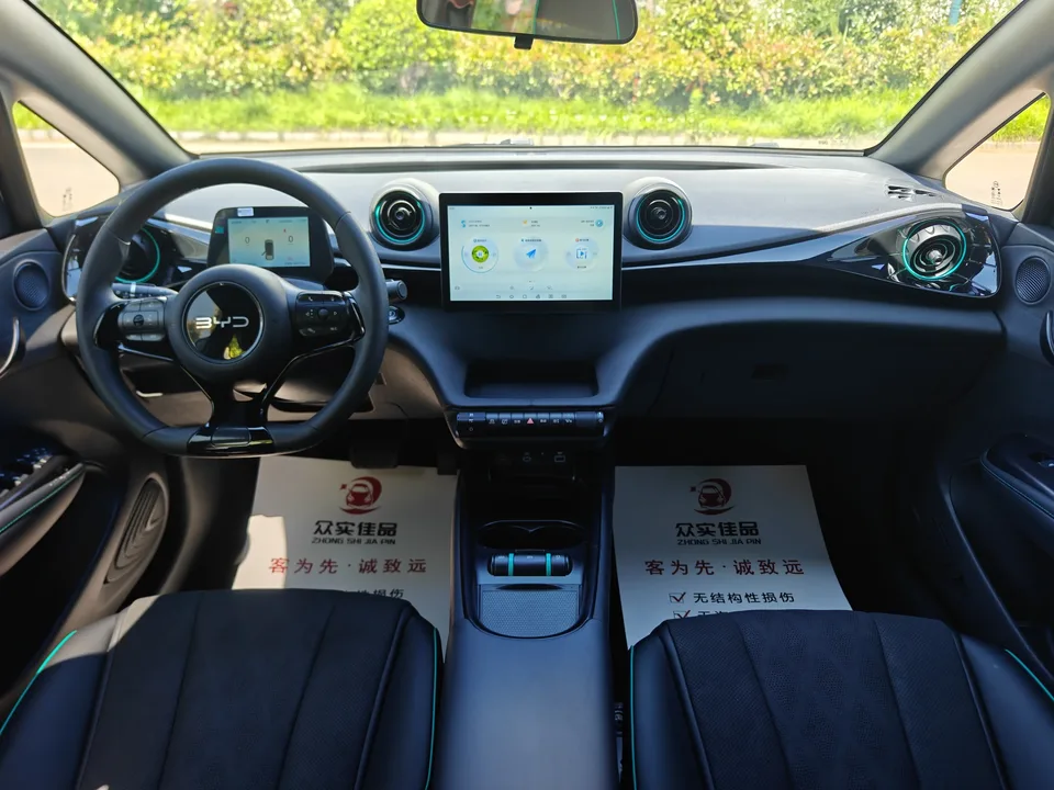 BYD Dolphin dolphin 420KM Vitality Edition 2025 — thumbnail 4
