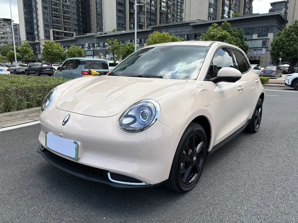 ORA Euler good cat Euler good cat 401km Luxury 2024 — photo 1, buy with delivery to Moscow