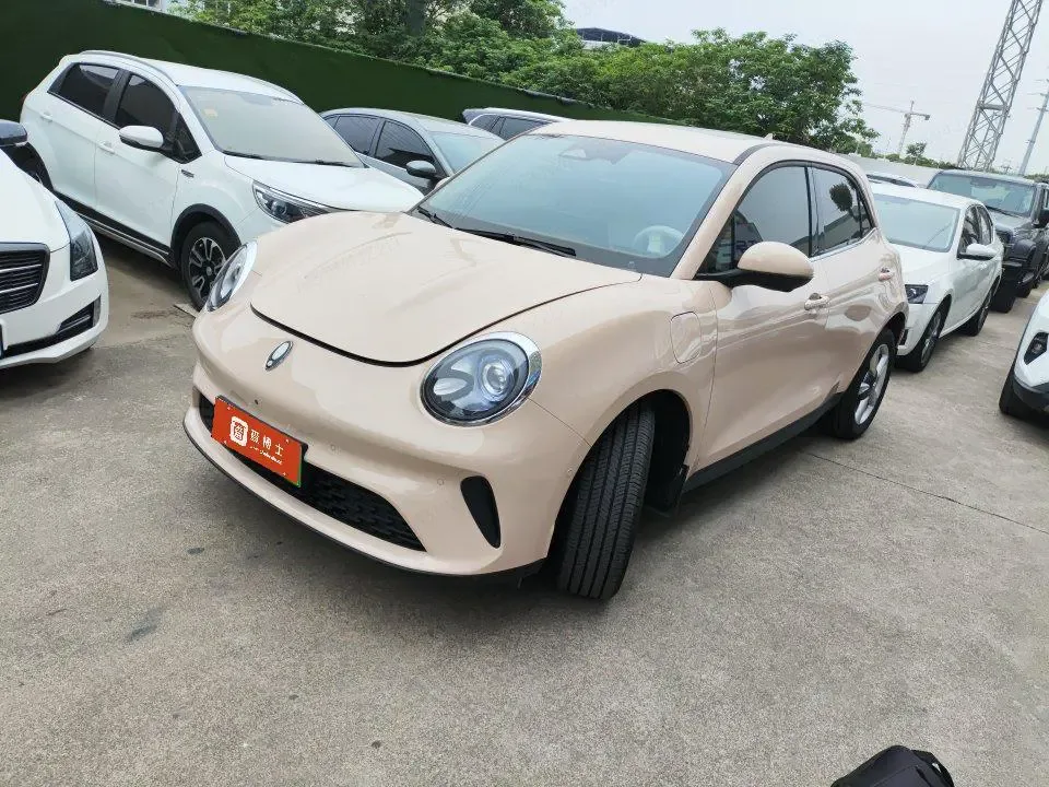 ORA Euler good cat Euler good cat 430km Premium 2025 — photo 1, buy with delivery to Moscow