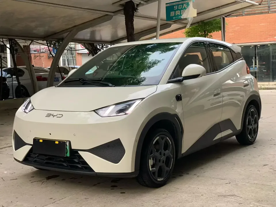 BYD Seagull seagull 2025 Smart Driving Edition 305KM Free Edition 2025 — photo 1, buy with delivery to Moscow