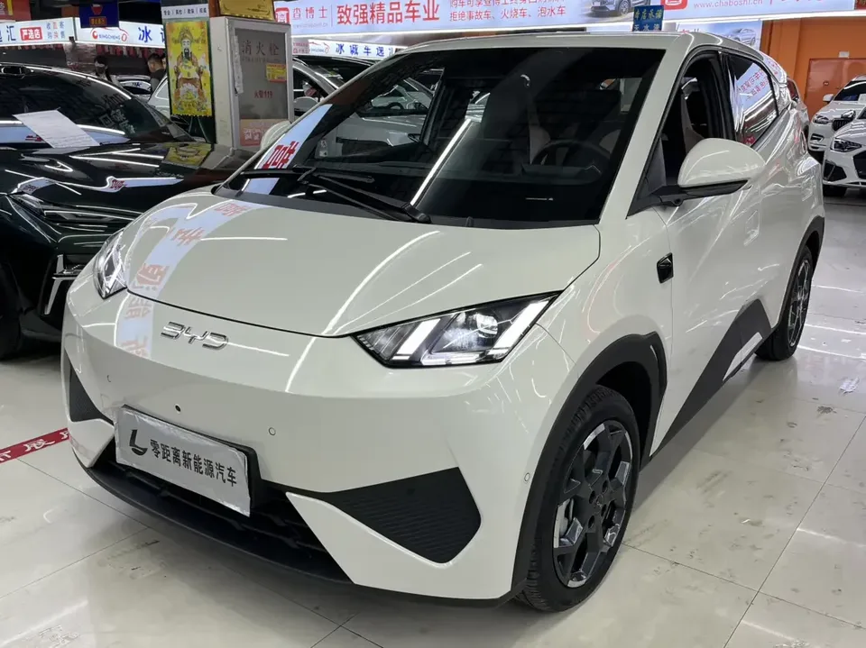 BYD Seagull seagull 2025 Smart Driving Edition 305KM Free Edition 2025 — photo 1, buy with delivery to Moscow