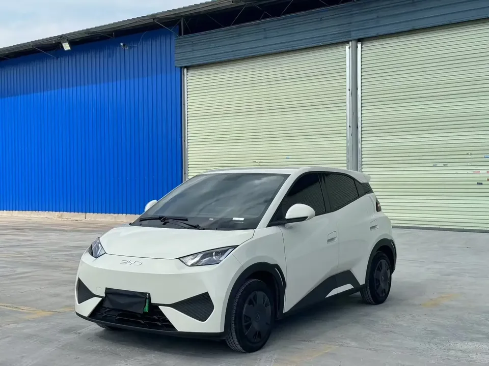 BYD Seagull seagull 2025 Smart Driving Edition 305KM Free Edition 2025 — photo 1, buy with delivery to Moscow