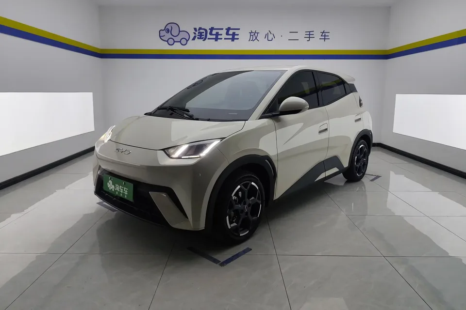 BYD Seagull seagull 2025 405KM Flying Edition 2025 — photo 1, buy with delivery to Moscow