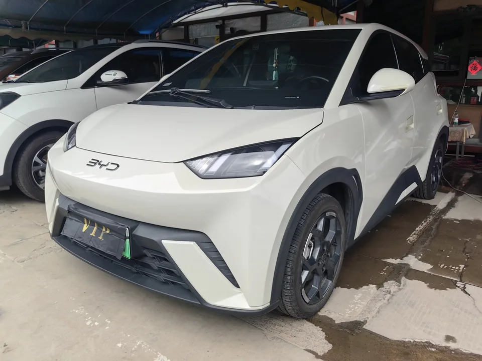 BYD Seagull seagull 2025 305KM Free Edition 2025 — photo 1, buy with delivery to Moscow