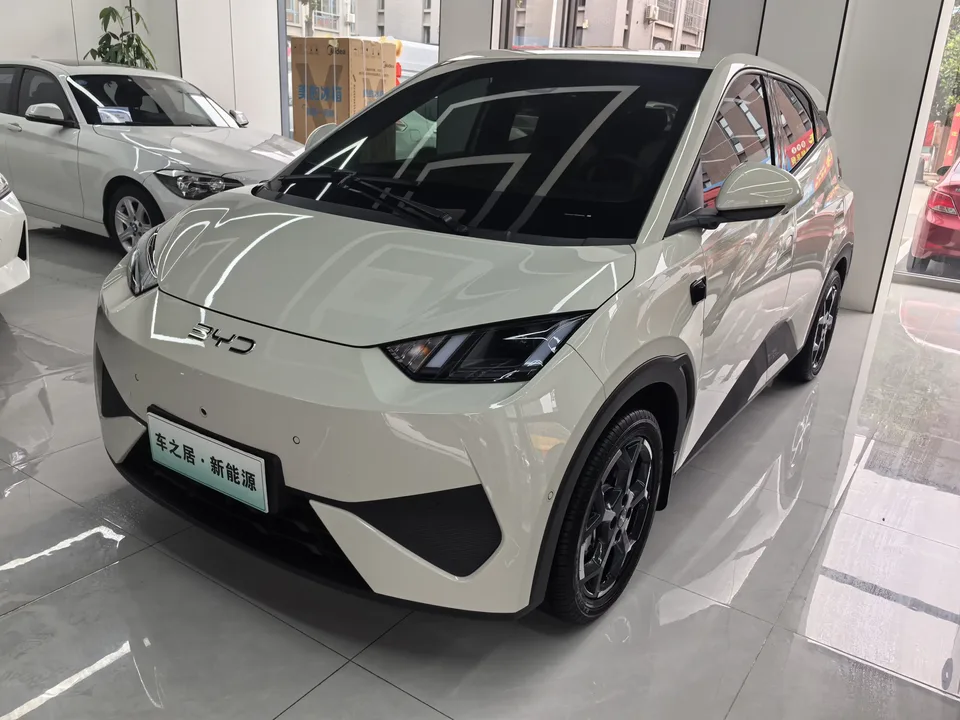 BYD Seagull seagull 2025 Smart Driving Edition 305KM Free Edition 2025 — photo 1, buy with delivery to Moscow