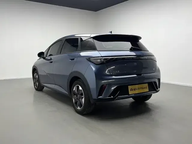 BYD Dolphin dolphin 2025 420KM Free Edition 2025 — thumbnail 2