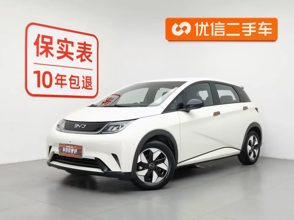 BYD Dolphin dolphin 2025 420KM Free Edition 2025 — photo 1, buy with delivery to Moscow