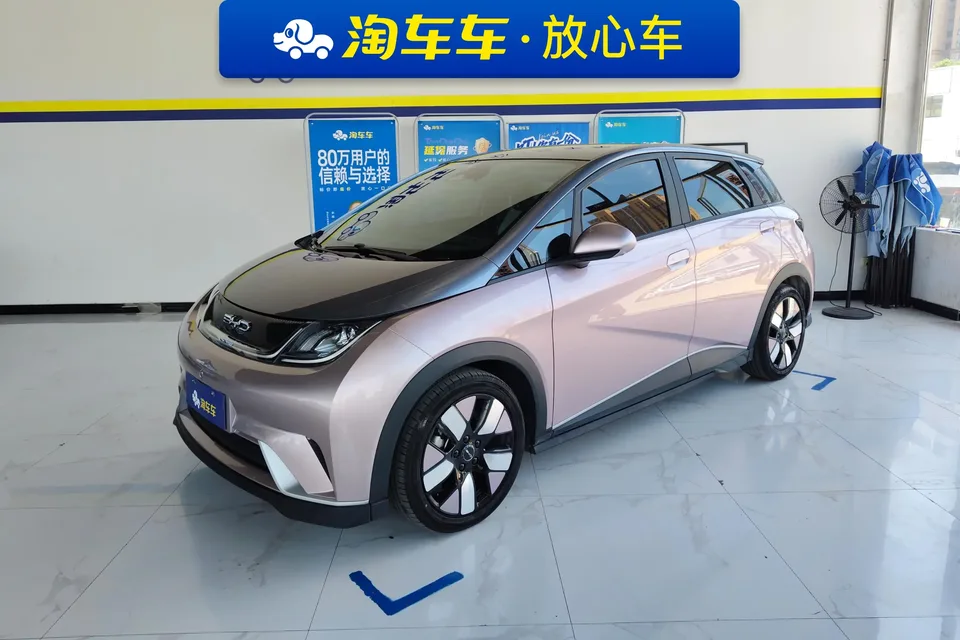 BYD Dolphin dolphin 2021 Knight Edition 2022 — photo 1, buy with delivery to Moscow