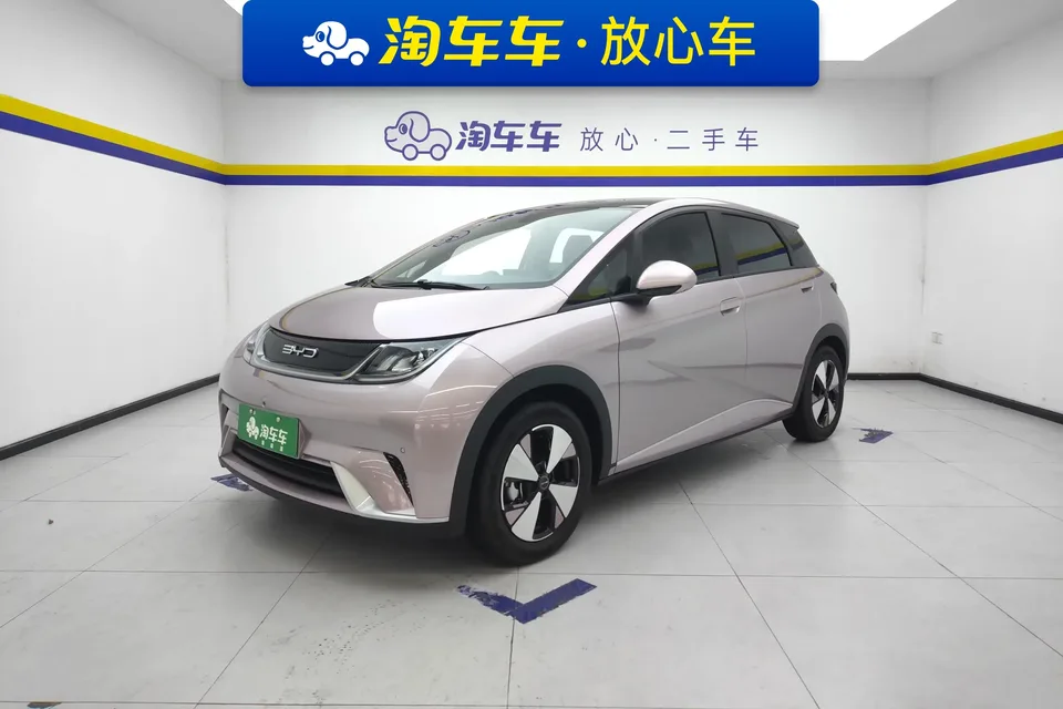BYD Dolphin dolphin 2023 Fashion version 2024 — photo 1, buy with delivery to Moscow