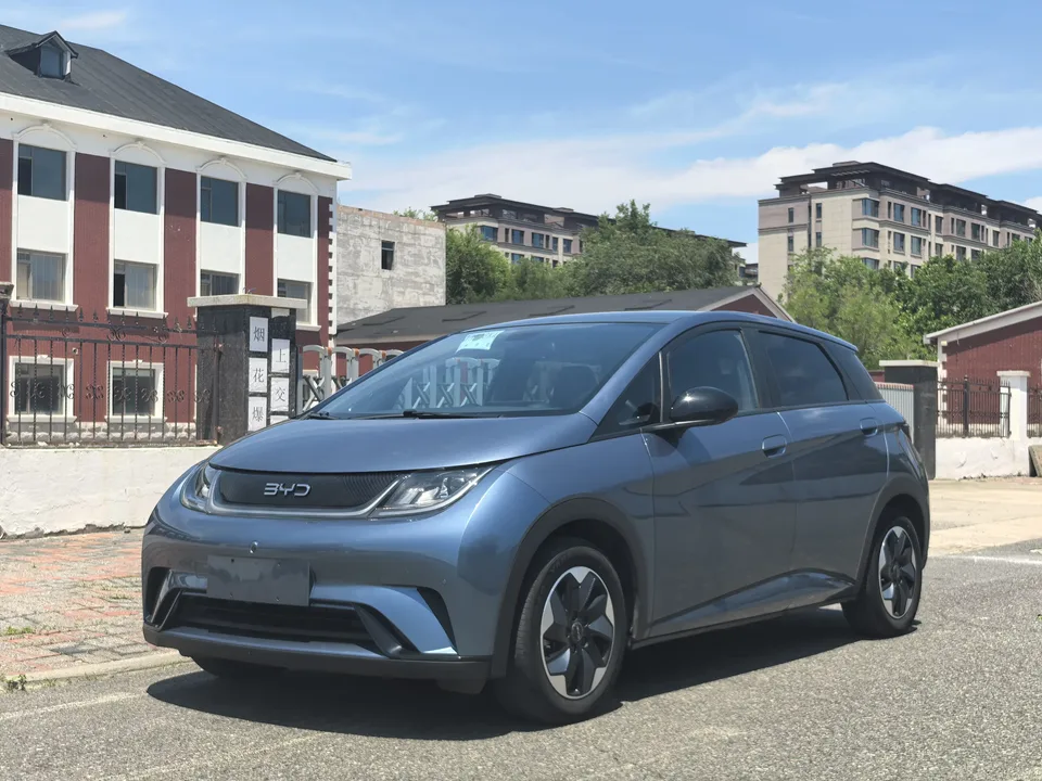 BYD Dolphin dolphin 2024 Honor Edition 420km Fashion Edition 2024 — photo 1, buy with delivery to Moscow