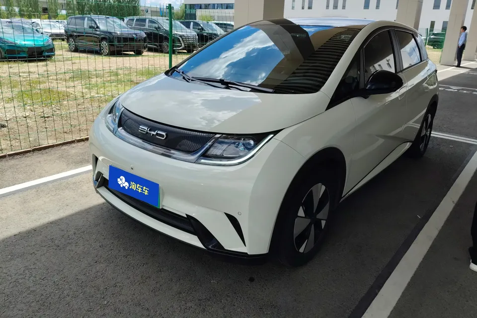 BYD Dolphin dolphin 2023 Fashion version 2023 — photo 1, buy with delivery to Moscow