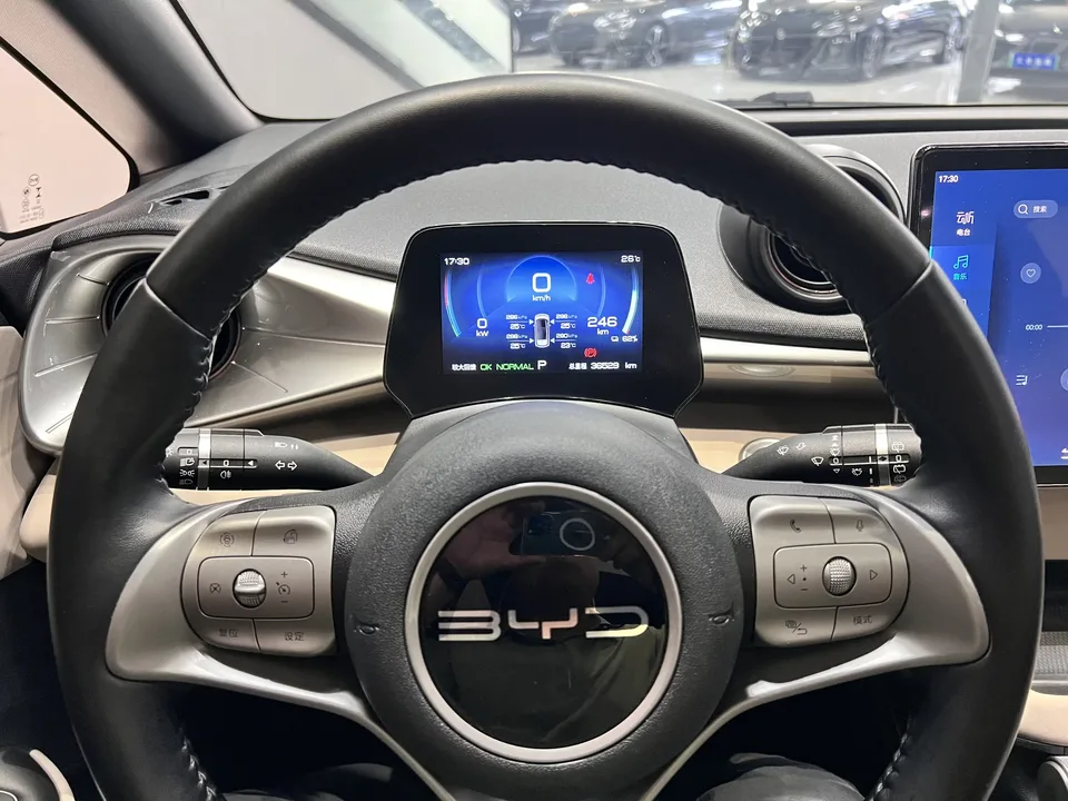 BYD Dolphin dolphin 2023 Fashion version 2023 — thumbnail 3