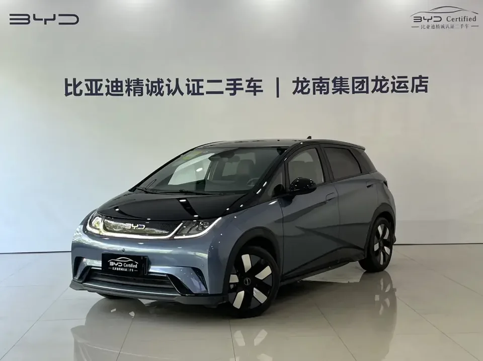 BYD Dolphin dolphin 2024 Glory Edition 401km Knight Edition 2024 — photo 1, buy with delivery to Moscow