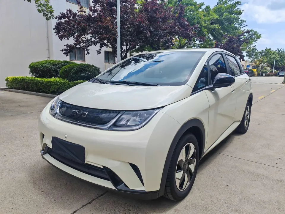 BYD Dolphin dolphin 2025 420KM Free Edition 2026 — фото 1, купить с доставкой в Москву