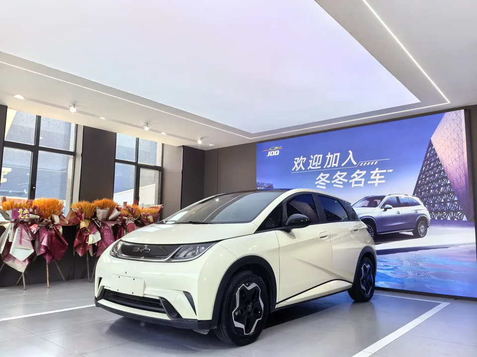 BYD Dolphin dolphin 2021 Fashion version 2023 — photo 1, buy with delivery to Moscow