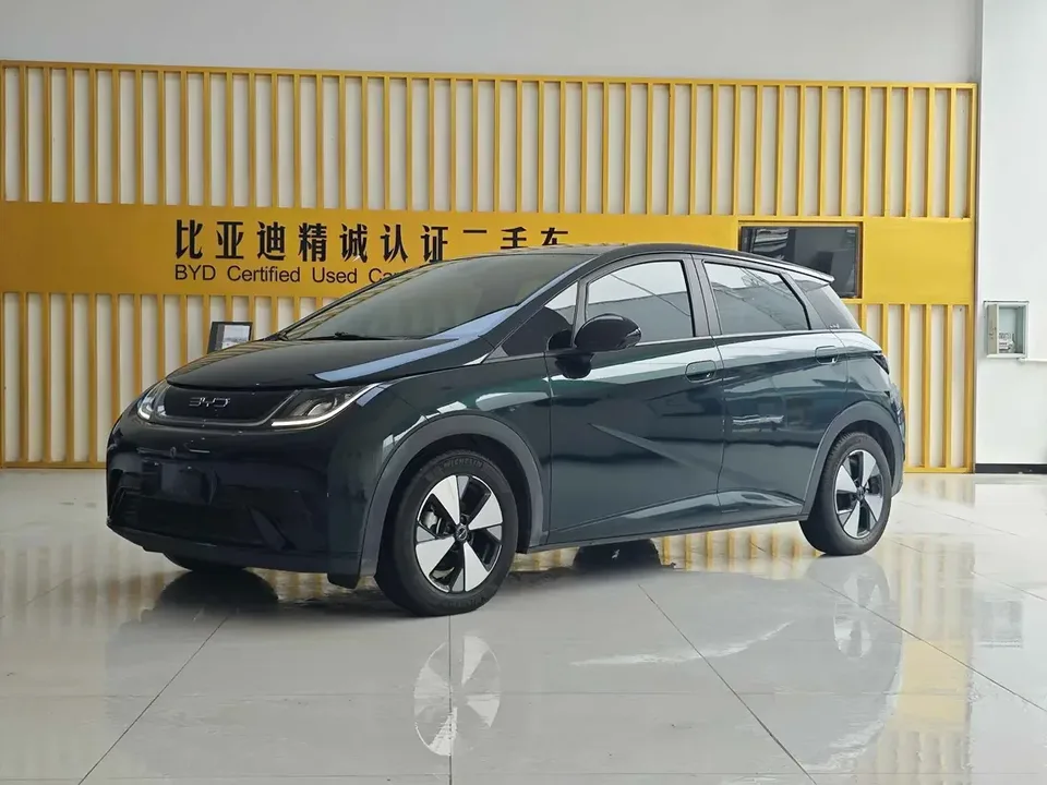 BYD Dolphin dolphin 2023 Fashion version 2023 — photo 1, buy with delivery to Moscow