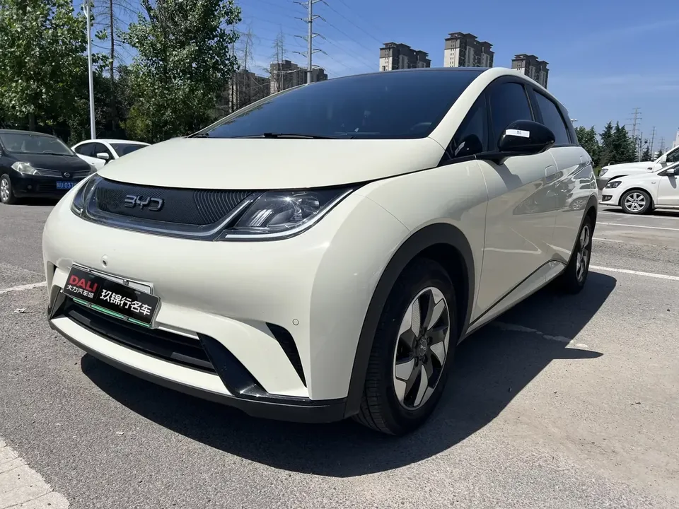 BYD Dolphin dolphin 2025 420KM Fashion Edition 2025 — photo 1, buy with delivery to Moscow