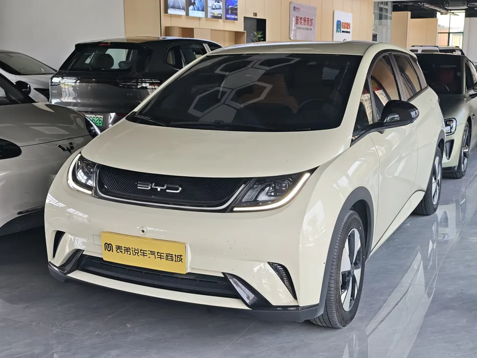 BYD Dolphin dolphin 2023 Fashion version 2024 — photo 1, buy with delivery to Moscow