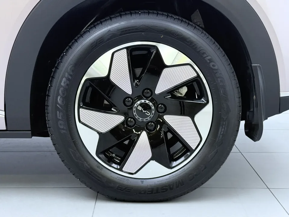 BYD Dolphin dolphin 2025 420KM Free Edition 2025 — thumbnail 3