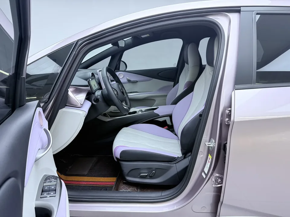 BYD Dolphin dolphin 2025 420KM Free Edition 2025 — thumbnail 5