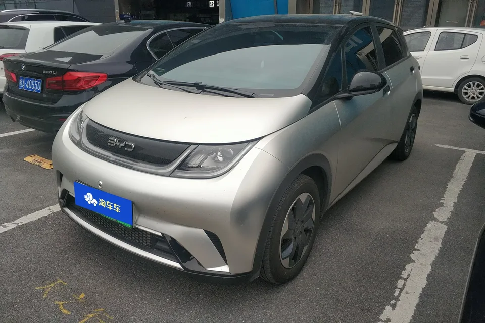 BYD Dolphin dolphin 2025 420KM Free Edition 2026 — photo 1, buy with delivery to Moscow