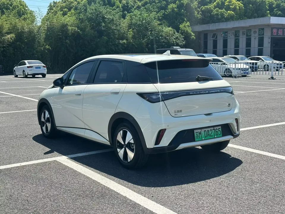 BYD Dolphin dolphin 2023 Free version 2024 — thumbnail 4