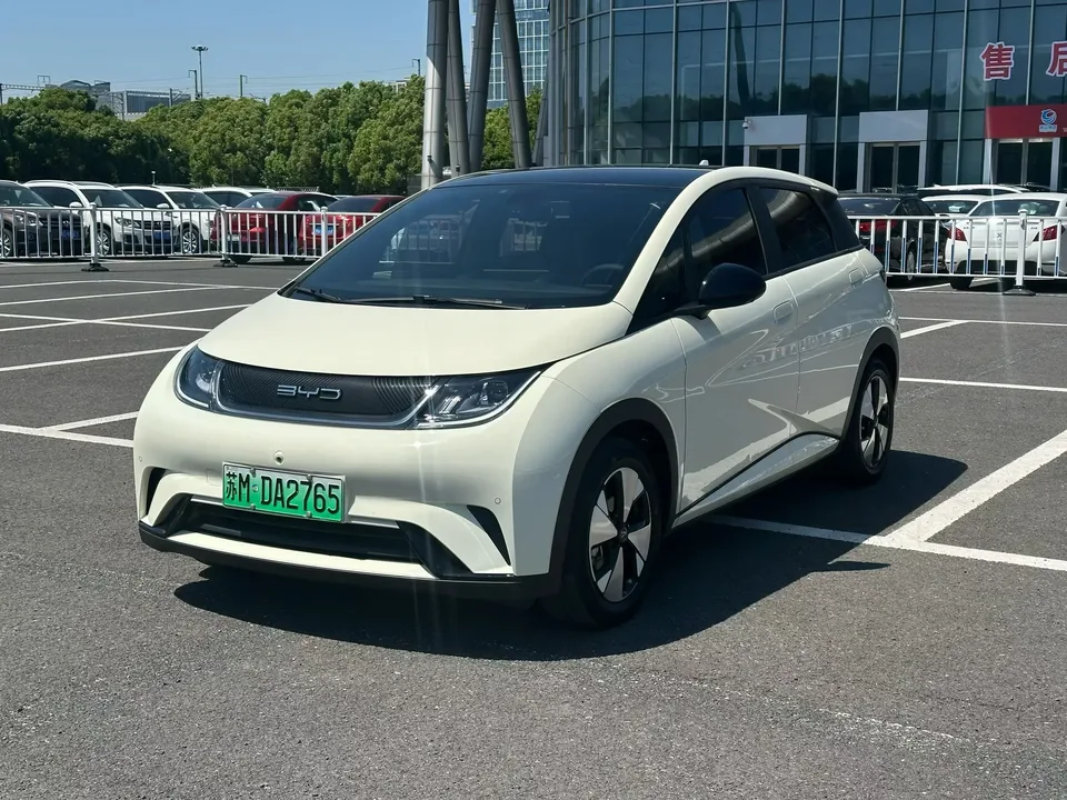 BYD Dolphin dolphin 2023 Free version 2024 — photo 1, buy with delivery to Moscow
