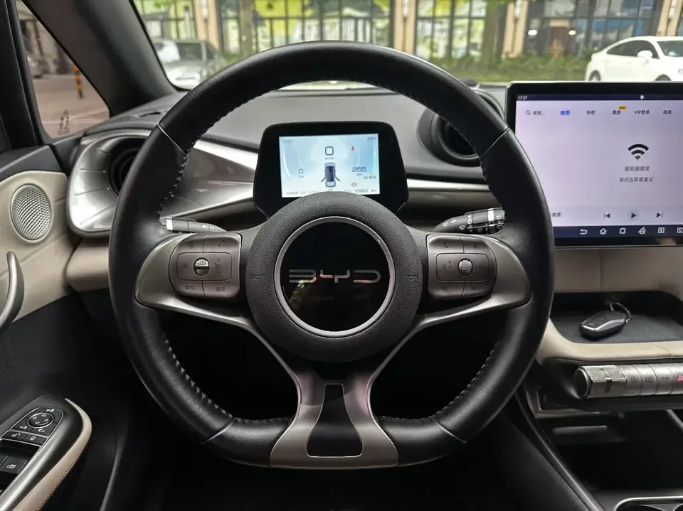 BYD Dolphin dolphin 2024 Glory Edition 420km Freedom Edition 2023 — thumbnail 5