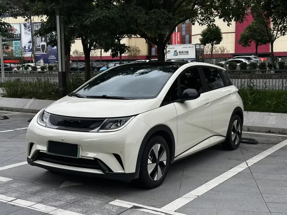 BYD Dolphin dolphin 2024 Glory Edition 420km Freedom Edition 2023 — photo 1, buy with delivery to Moscow