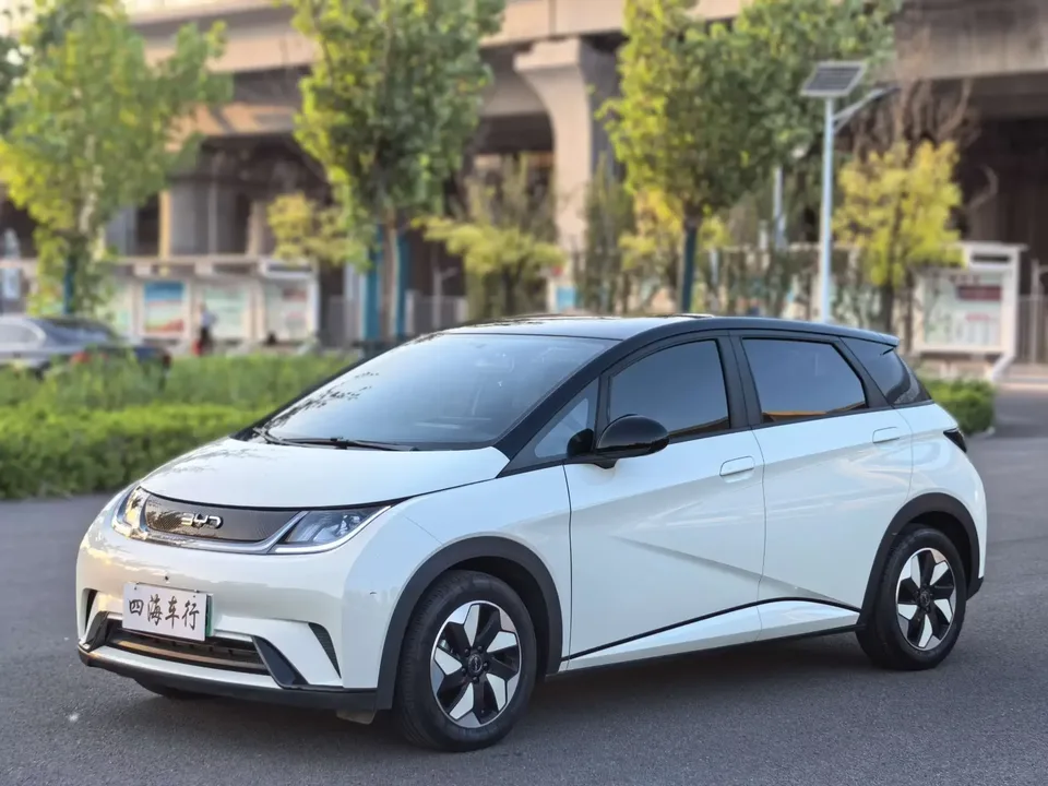 BYD Dolphin dolphin 2024 Glory Edition 420km Freedom Edition 2025 — photo 1, buy with delivery to Moscow