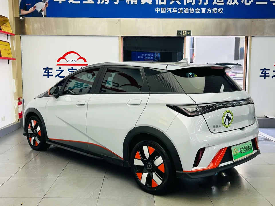 BYD Dolphin dolphin 2021 Knight Edition 2023 — thumbnail 2