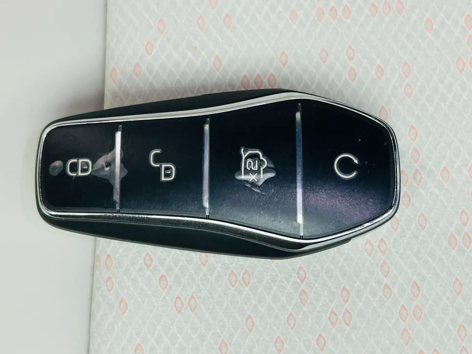 BYD Dolphin dolphin 2021 Knight Edition 2023 — thumbnail 3