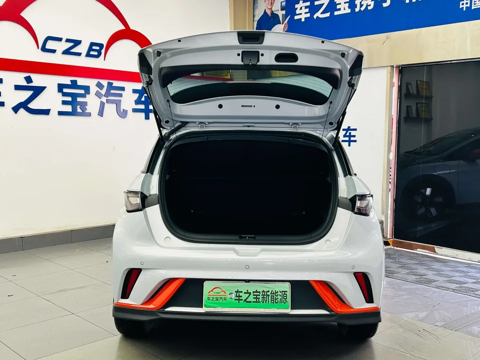 BYD Dolphin dolphin 2021 Knight Edition 2023 — thumbnail 5