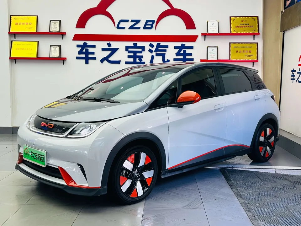 BYD Dolphin dolphin 2021 Knight Edition 2023 — photo 1, buy with delivery to Moscow