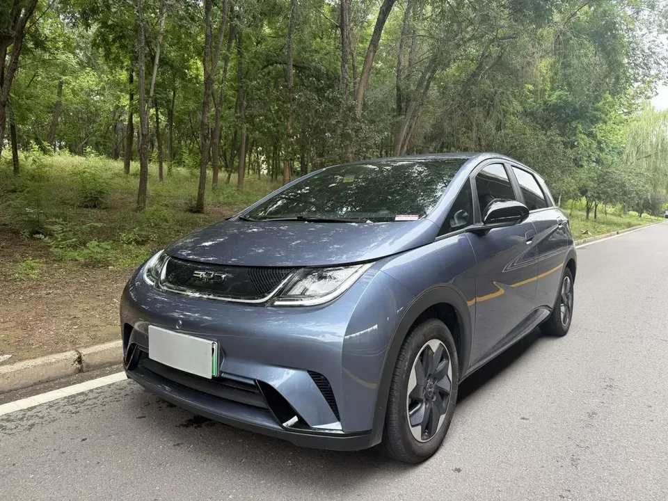 BYD Dolphin dolphin 2024 Glory Edition 420km Freedom Edition 2024 — photo 1, buy with delivery to Moscow
