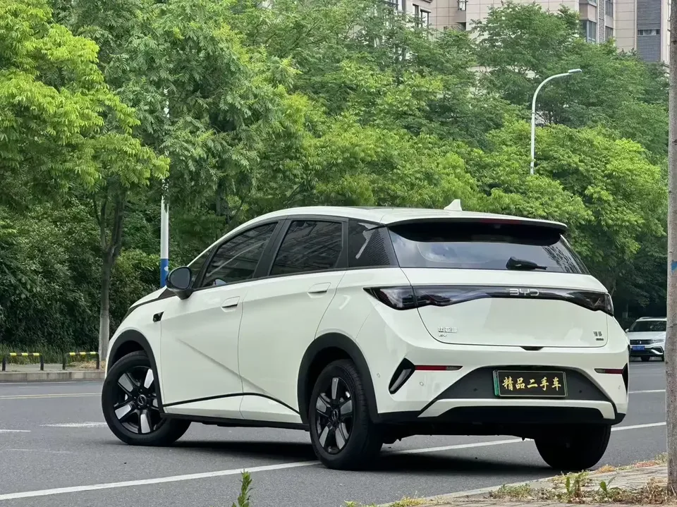 BYD Dolphin dolphin 2025 Smart Driving Edition 410KM Fashion Edition 2025 — thumbnail 2