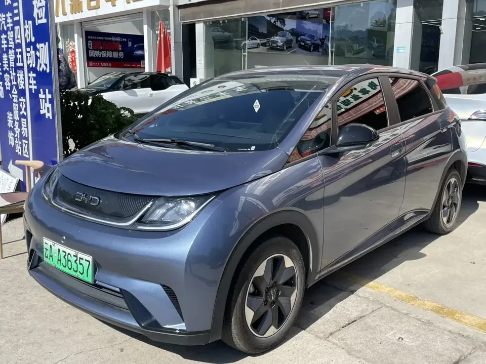 BYD Dolphin dolphin 2025 420KM Free Edition 2025 — photo 1, buy with delivery to Moscow