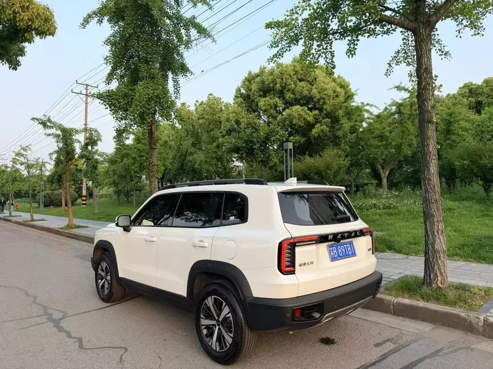 Haval Dargo Harvard dog 2022 1.5T 2WD Labrador Edition 2022 — thumbnail 2