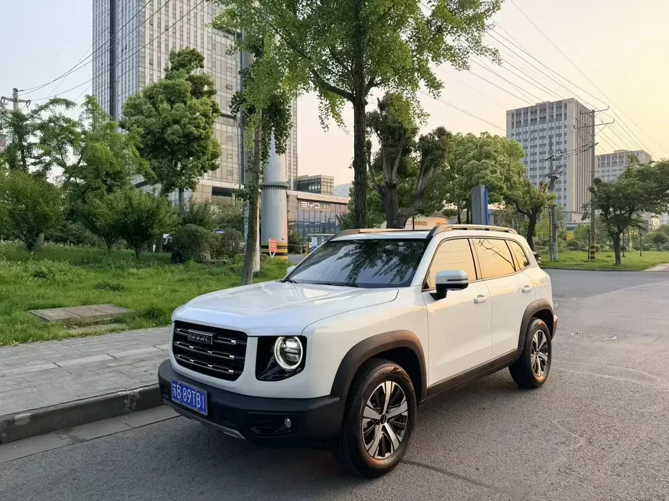 Haval Dargo Harvard dog 2022 1.5T 2WD Labrador Edition 2022 — photo 1, buy with delivery to Moscow