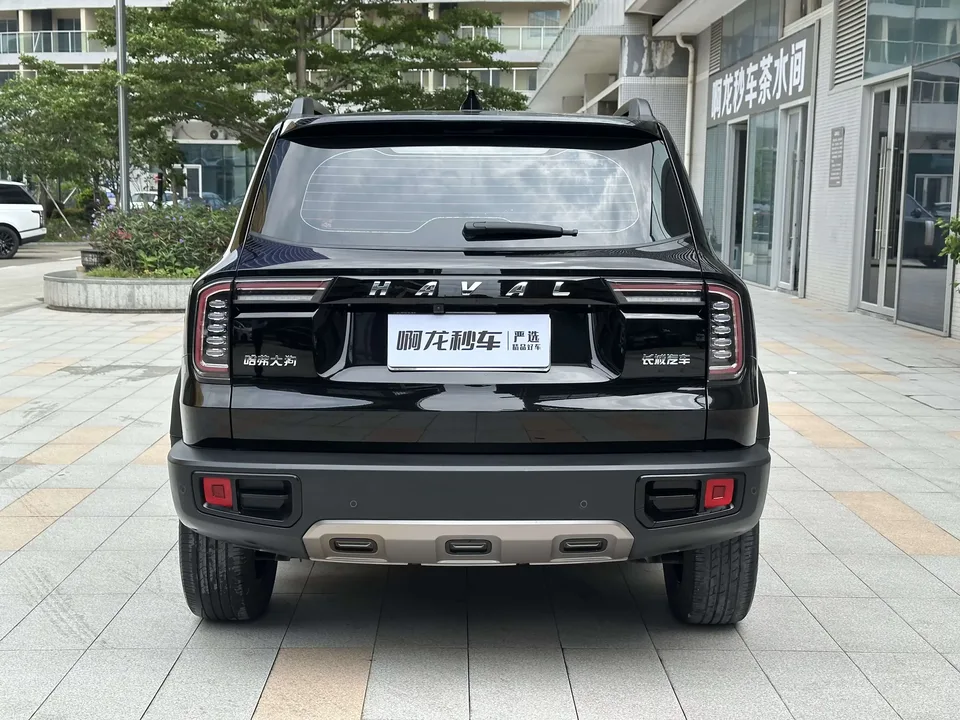 Haval Dargo Harvard dog 2022 1.5T 2WD Border Collie Edition 2022 — thumbnail 2