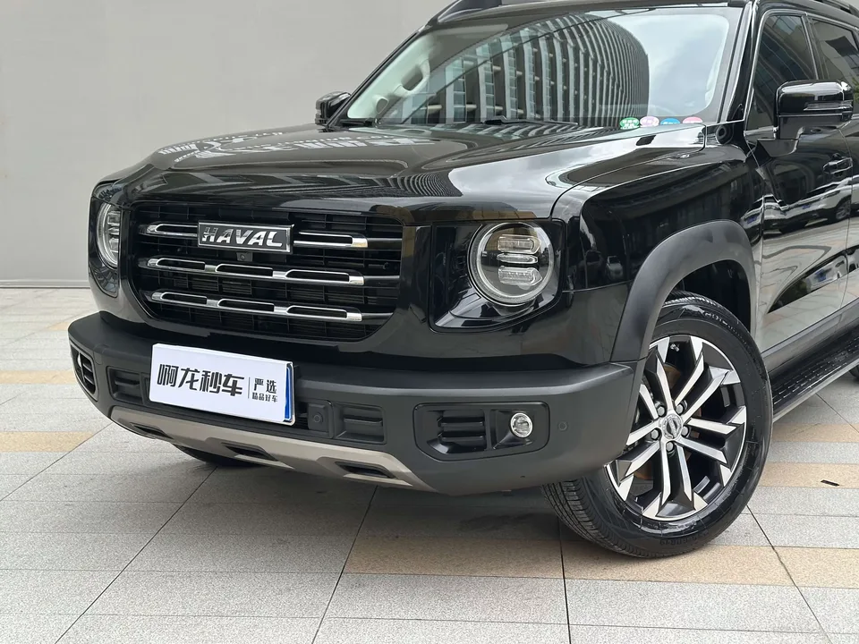 Haval Dargo Harvard dog 2022 1.5T 2WD Border Collie Edition 2022 — thumbnail 3