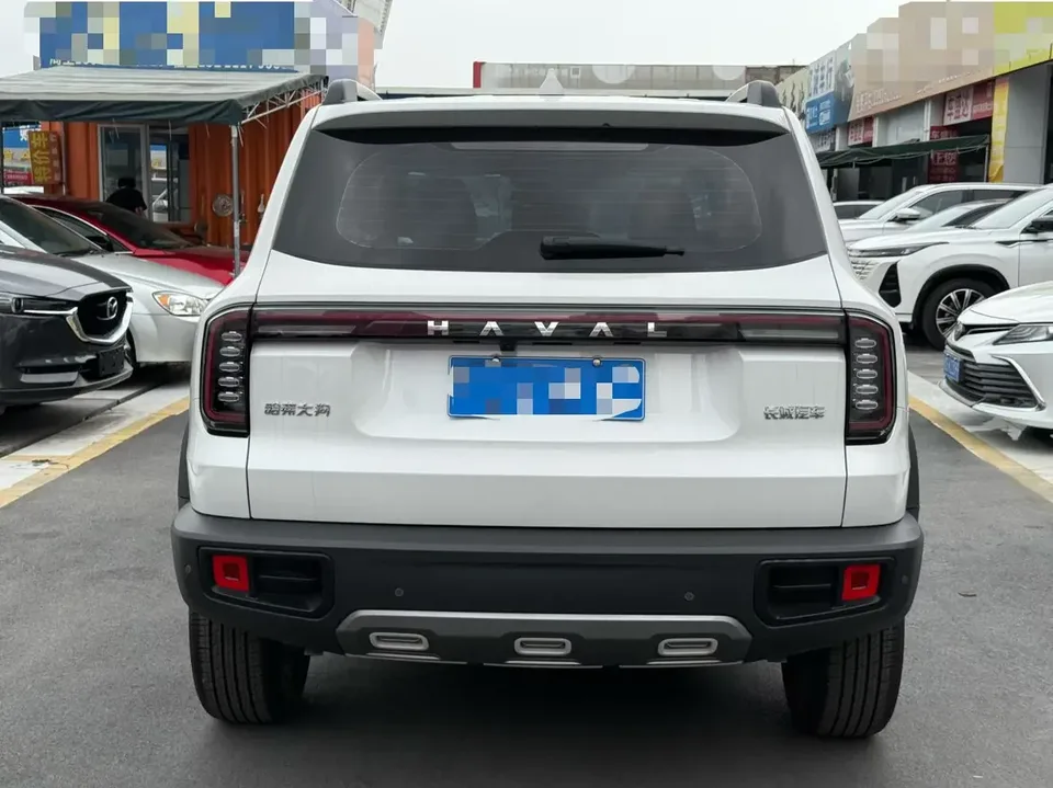 Haval Dargo Harvard dog 2024 1.5T 2WD Border Collie Edition 2024 — thumbnail 2