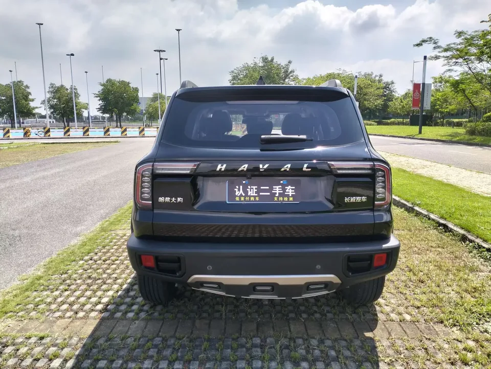 Haval Dargo Harvard dog 2022 1.5T 2WD Border Collie Edition 2022 — thumbnail 2