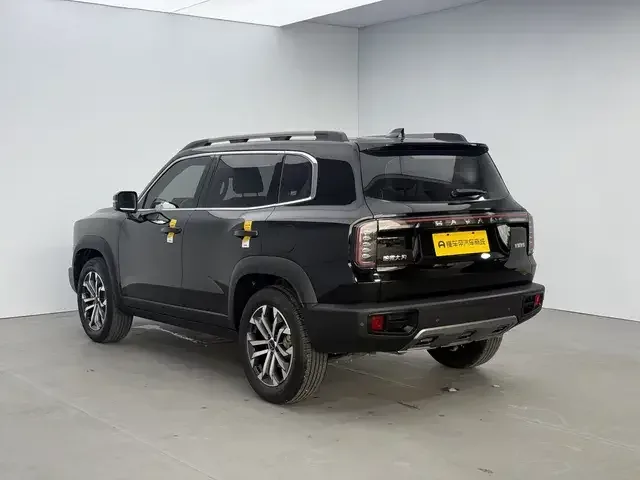 Haval Dargo Harvard dog 2024 1.5T 2WD Border Collie Edition 2024 — thumbnail 2